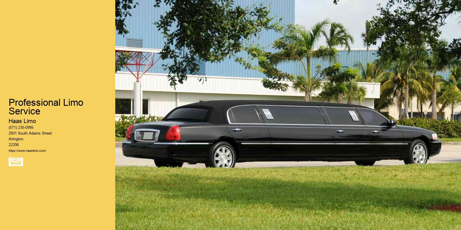 Professional Limo Service